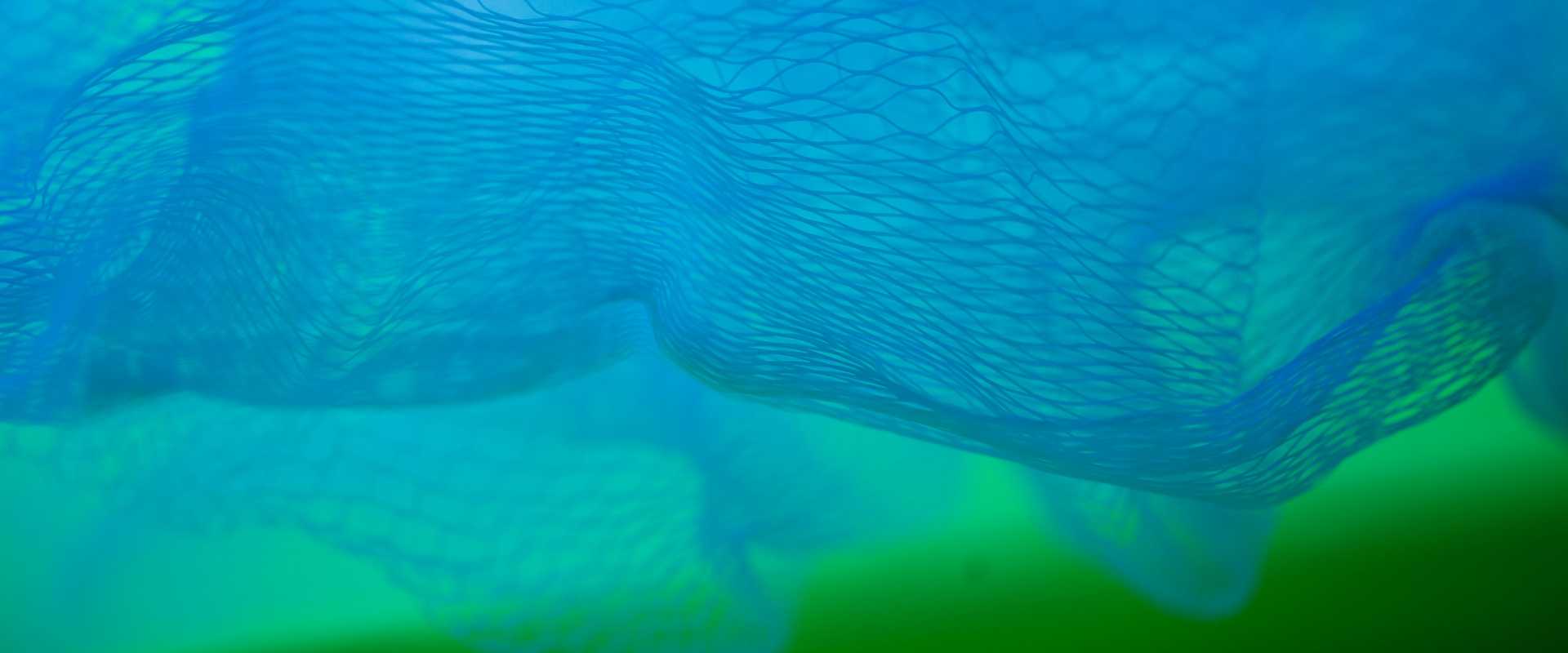 Page header image